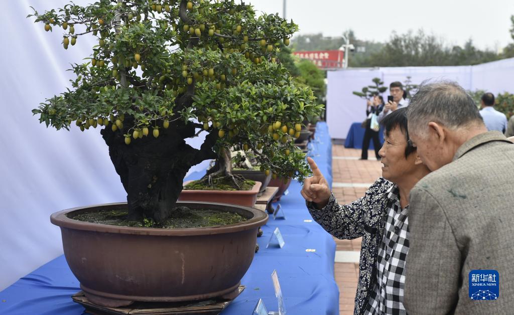 黄金海岸游戏大厅